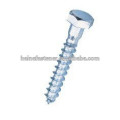 hex head lag Screw